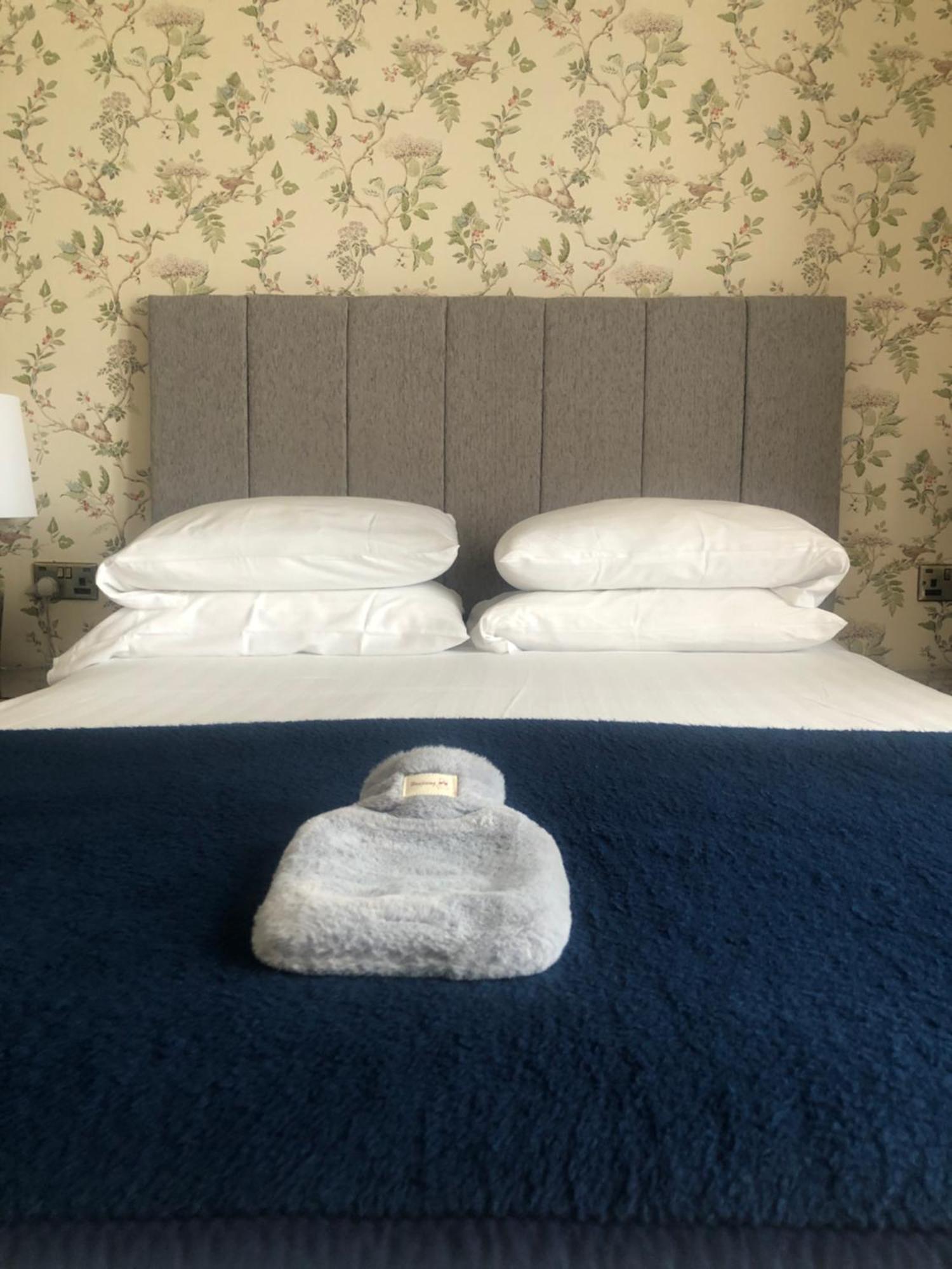 Helmsman Guesthouse Aberystwyth Ngoại thất bức ảnh