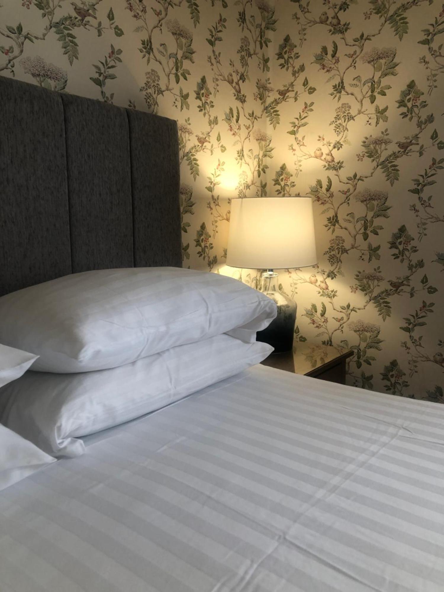 Helmsman Guesthouse Aberystwyth Ngoại thất bức ảnh
